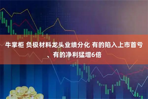牛掌柜 负极材料龙头业绩分化 有的陷入上市首亏、有的净利猛增6倍