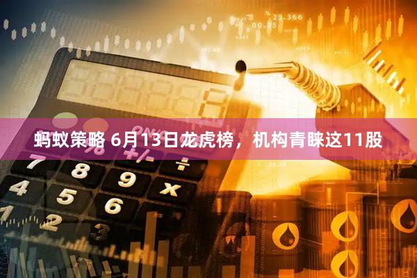 蚂蚁策略 6月13日龙虎榜，机构青睐这11股