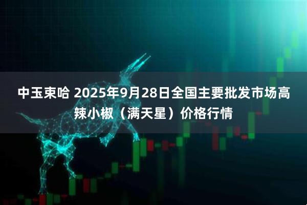 中玉束哈 2025年9月28日全国主要批发市场高辣小椒（满天星）价格行情