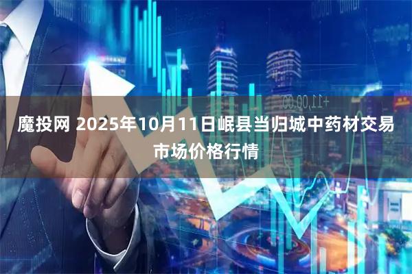 魔投网 2025年10月11日岷县当归城中药材交易市场价格行情