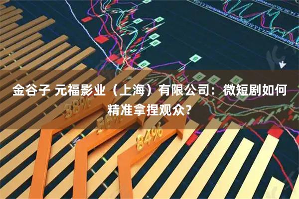 金谷子 元福影业（上海）有限公司：微短剧如何精准拿捏观众？