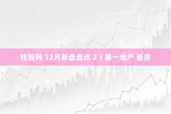 钱投网 12月新盘盘点 2丨第一地产 看房